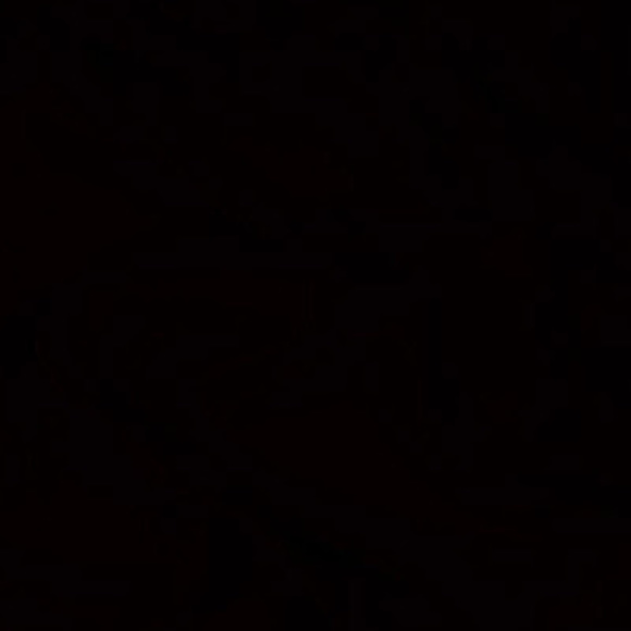 Meet your Posher, Codein - Picture 1 of 1